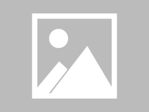 酒店运营管理未来发展的新机遇与挑战，数字化转型与创新机遇